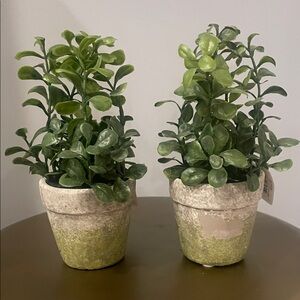 Green Faux Potted Plant Set